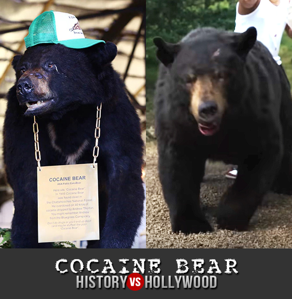 Cocaine Bear's Story Secretly Has A Much Deeper Meaning (Yes, Really!)